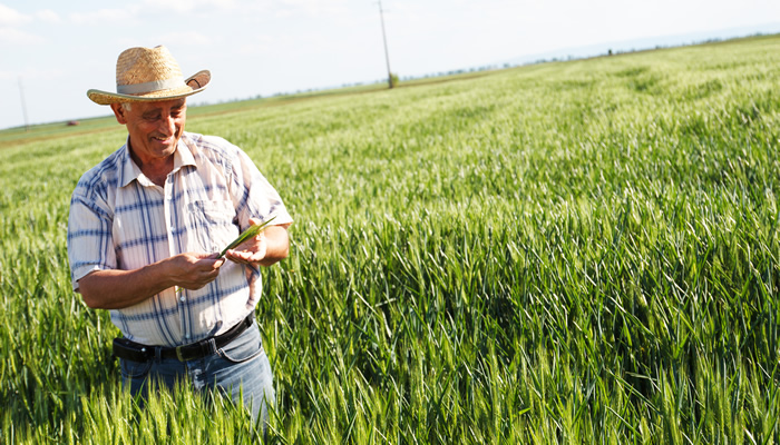 Prefeitura Pedra Azul